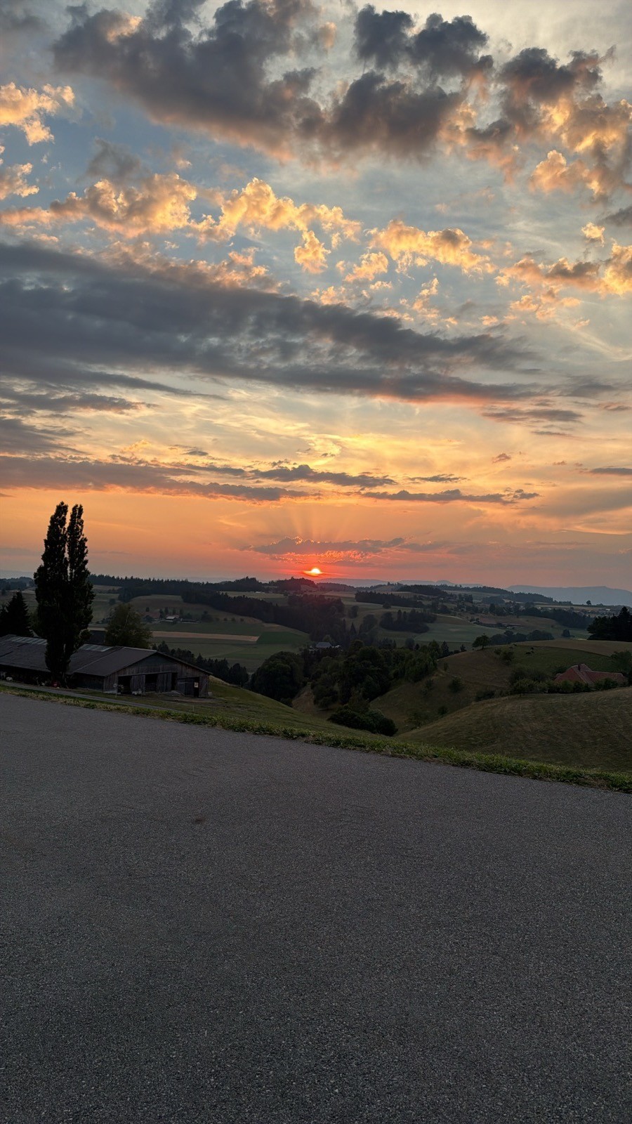 Sonnenuntergang mit Pappel über den Hügeln des Emmentals