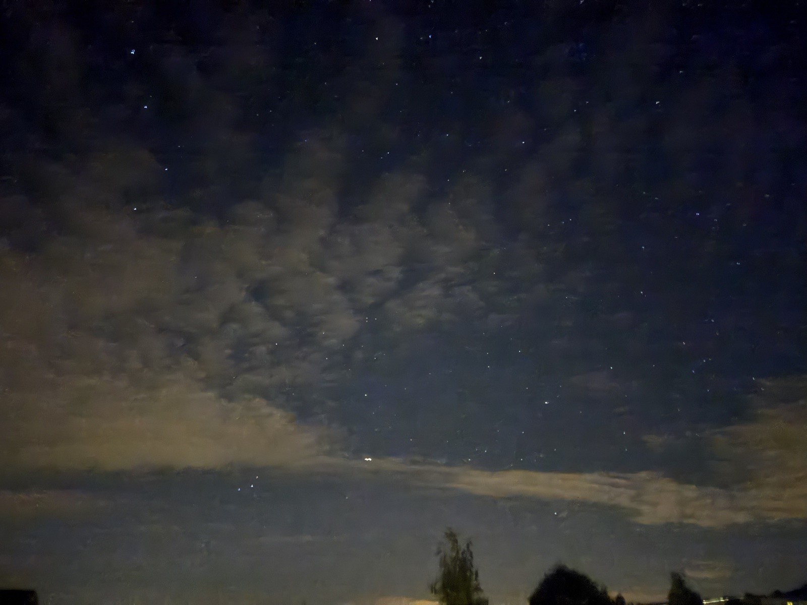 Sternennacht über den Baumsilhouetten bei Sumiswald